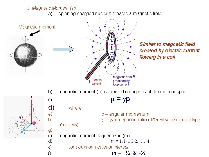 ii. Magnetic Moment (m) a) spinning charged nucleus creates a magnetic field Magnetic moment