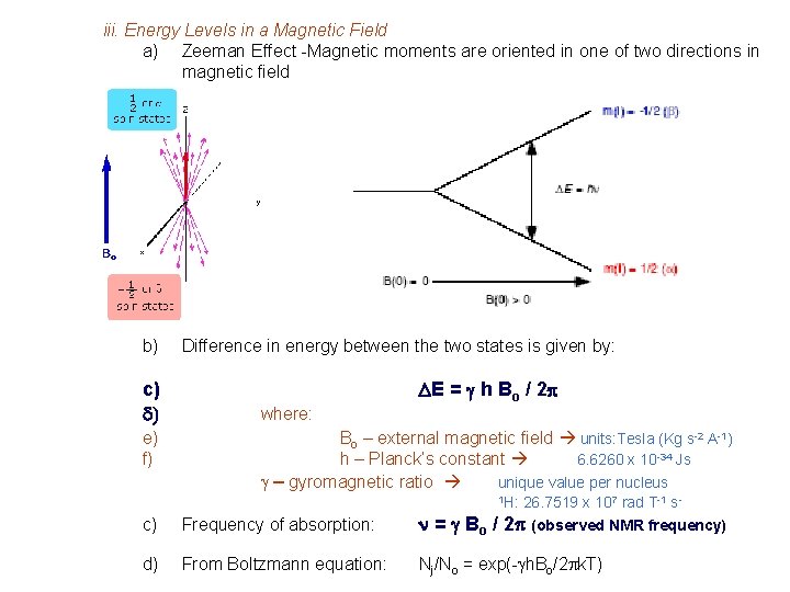 iii. Energy Levels in a Magnetic Field a) Zeeman Effect -Magnetic moments are oriented