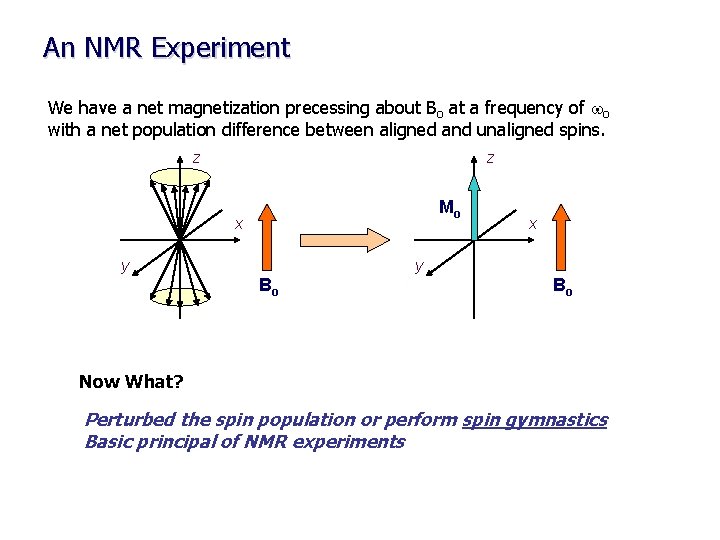 An NMR Experiment We have a net magnetization precessing about Bo at a frequency