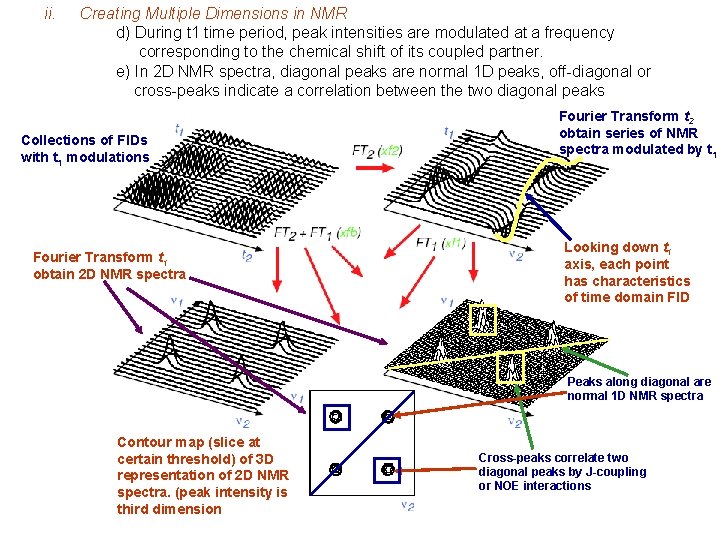 ii. Creating Multiple Dimensions in NMR d) During t 1 time period, peak intensities