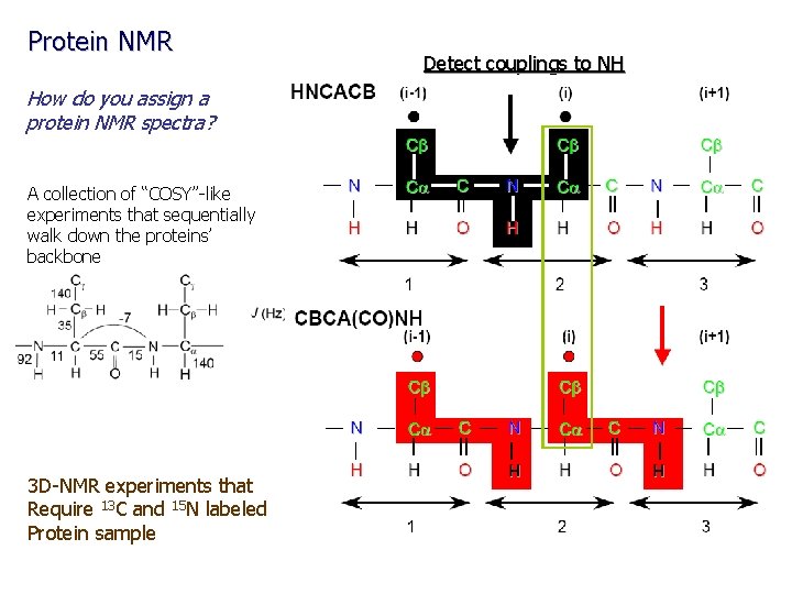 Protein NMR How do you assign a protein NMR spectra? A collection of “COSY”-like