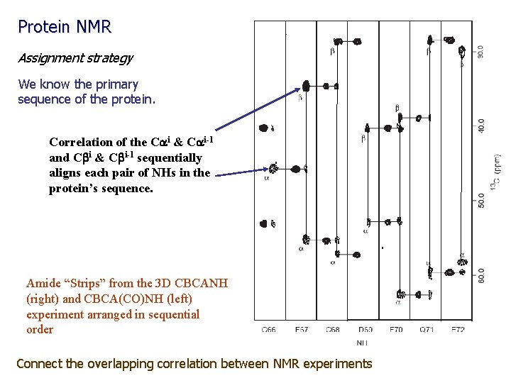 Protein NMR Assignment strategy We know the primary sequence of the protein. Correlation of