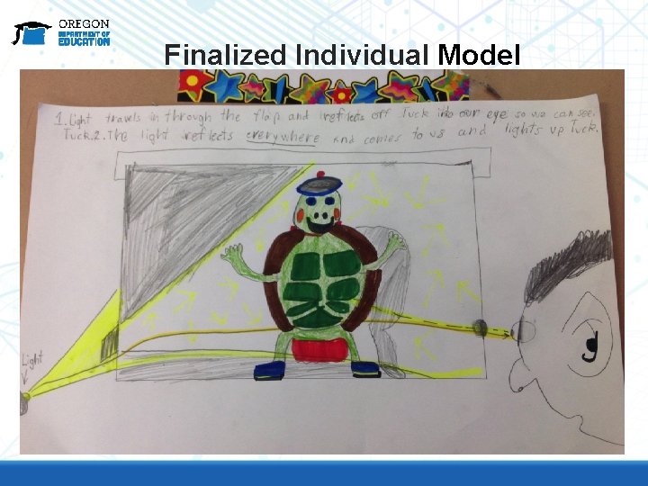 Finalized Individual Model 