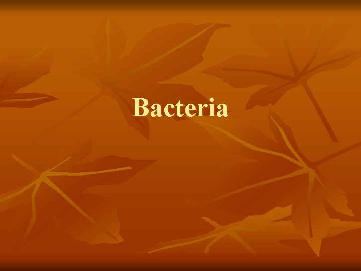 Bacteria 