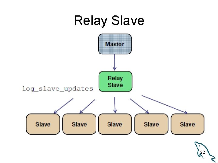 Relay Slave 22 