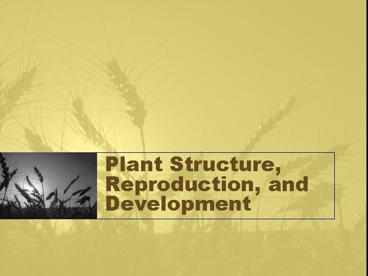 Plant Structure, Reproduction, and Development 