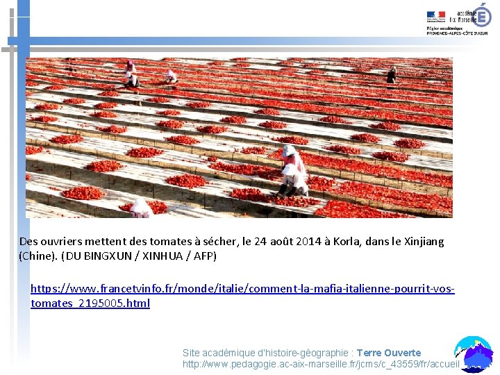 Des ouvriers mettent des tomates à sécher, le 24 août 2014 à Korla, dans