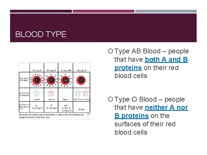 BLOOD TYPE Type AB Blood – people that have both A and B proteins