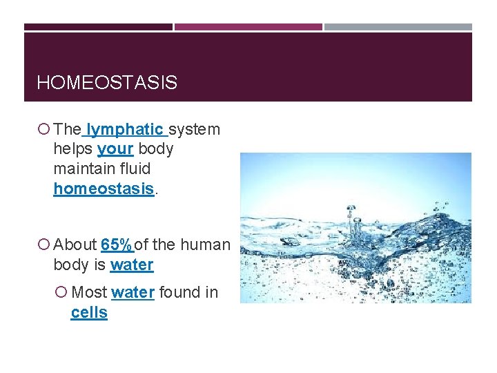 HOMEOSTASIS The lymphatic system helps your body maintain fluid homeostasis. About 65%of the human