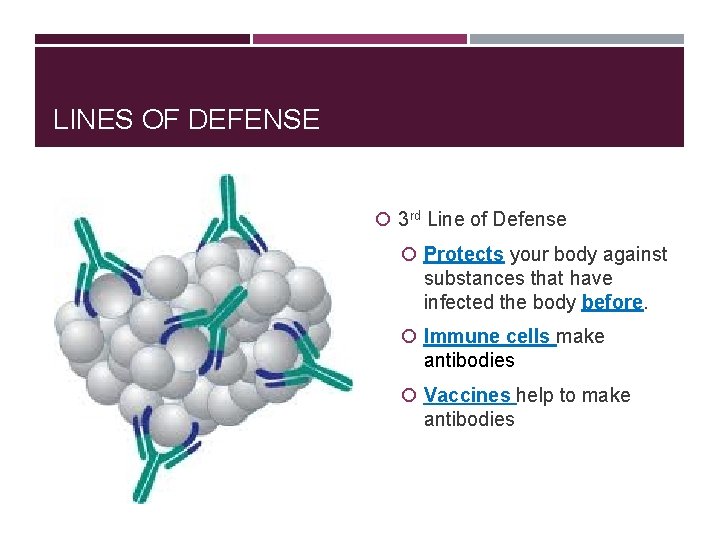 LINES OF DEFENSE 3 rd Line of Defense Protects your body against substances that