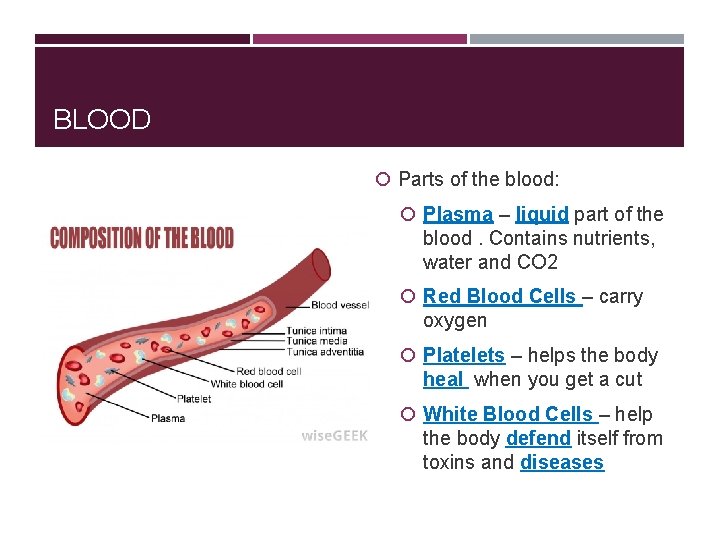 BLOOD Parts of the blood: Plasma – liquid part of the blood. Contains nutrients,