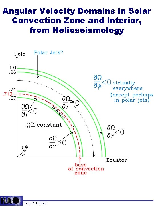 Angular Velocity Domains in Solar Convection Zone and Interior, from Helioseismology Peter A. Gilman