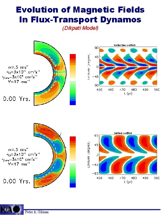 Evolution of Magnetic Fields In Flux-Transport Dynamos (Dikpati Model) Peter A. Gilman 