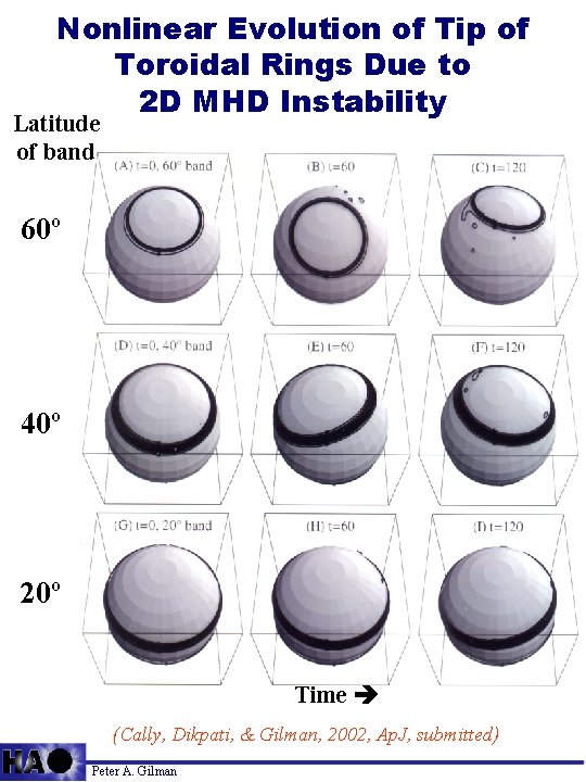 Nonlinear Evolution of Tip of Toroidal Rings Due to 2 D MHD Instability Latitude