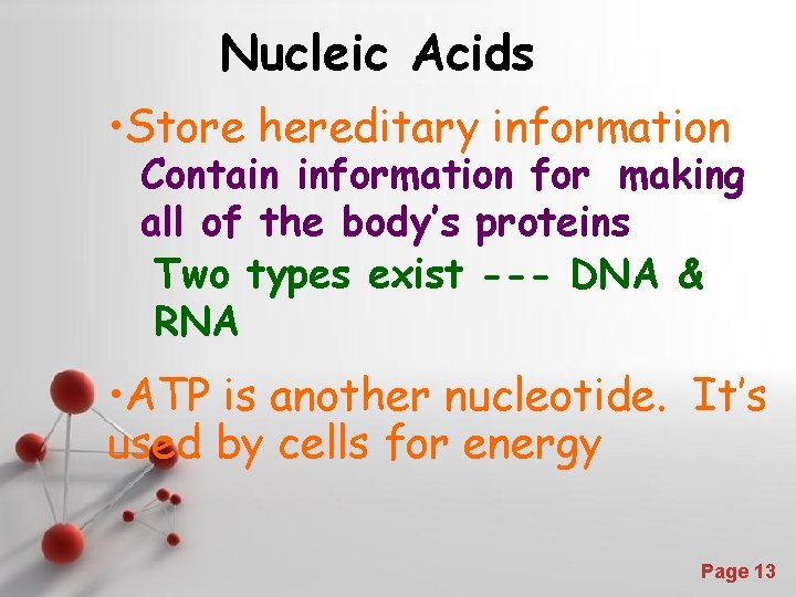 Nucleic Acids • Store hereditary information Contain information for making all of the body’s