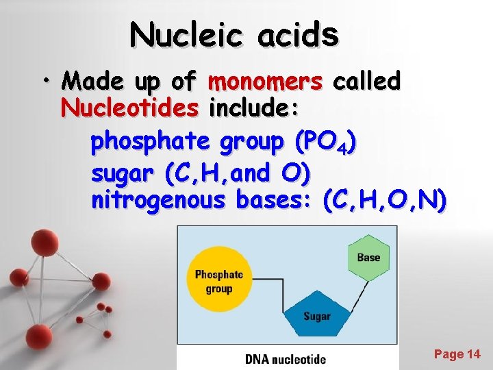 Nucleic acids • Made up of monomers called Nucleotides include: phosphate group (PO 4)