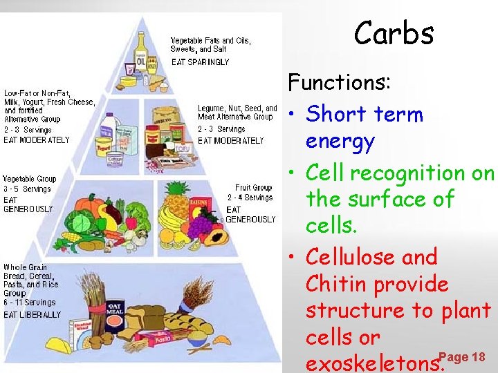 Carbs Functions: • Short term energy • Cell recognition on the surface of cells.