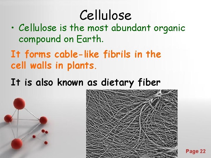 Cellulose • Cellulose is the most abundant organic compound on Earth. It forms cable-like