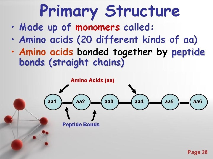 Primary Structure • Made up of monomers called: • Amino acids (20 different kinds