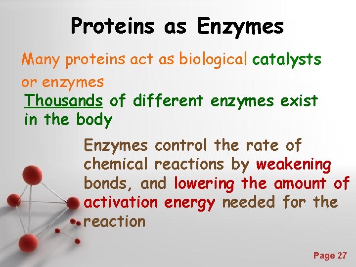 Proteins as Enzymes Many proteins act as biological catalysts or enzymes Thousands of different