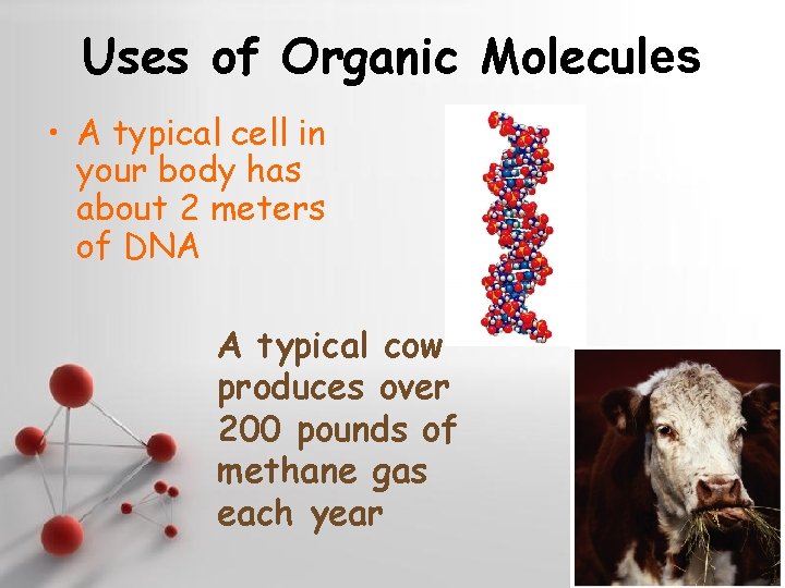 Uses of Organic Molecules • A typical cell in your body has about 2