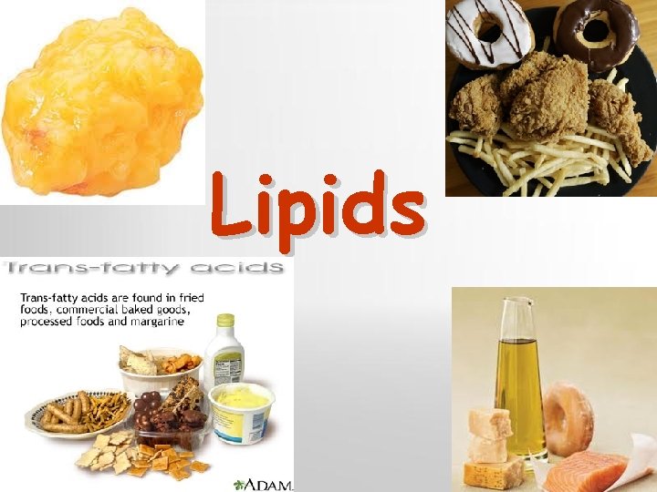 Lipids Powerpoint Templates 6 Page 6 