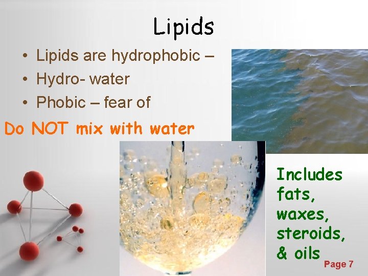 Lipids • Lipids are hydrophobic – • Hydro- water • Phobic – fear of