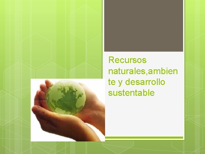 Recursos naturales, ambien te y desarrollo sustentable 