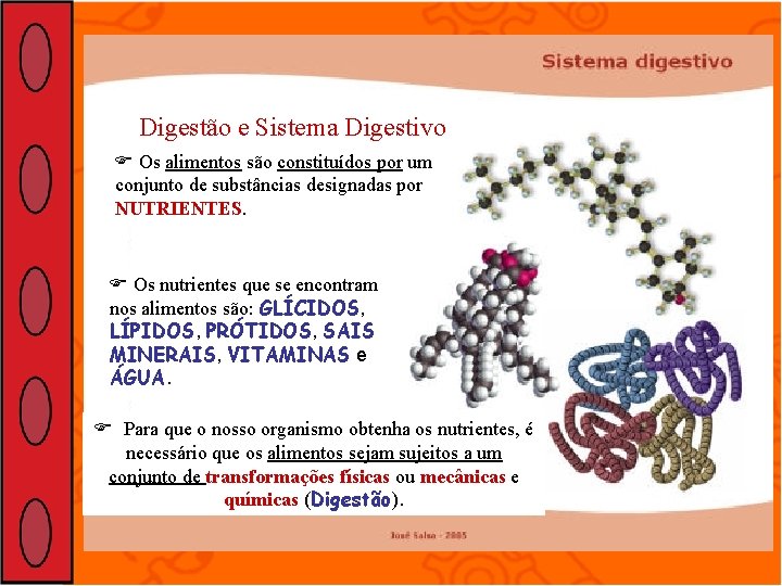 Digestão e Sistema Digestivo Os alimentos são constituídos por um conjunto de substâncias designadas