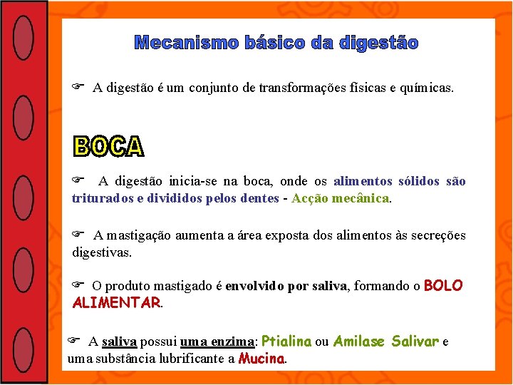  A digestão é um conjunto de transformações físicas e químicas. A digestão inicia-se