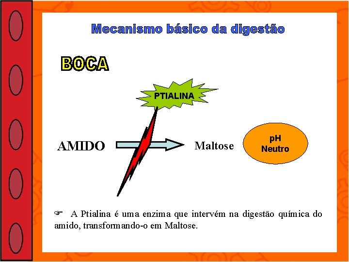 PTIALINA AMIDO Maltose p. H Neutro A Ptialina é uma enzima que intervém na