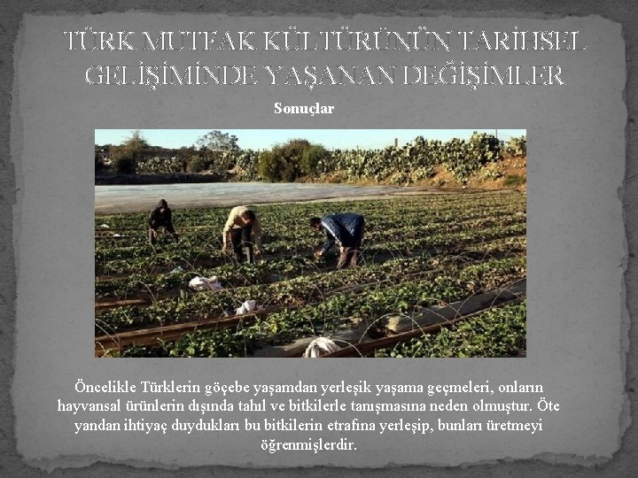 TÜRK MUTFAK KÜLTÜRÜNÜN TARİHSEL GELİŞİMİNDE YAŞANAN DEĞİŞİMLER Sonuçlar Öncelikle Türklerin göçebe yaşamdan yerleşik yaşama