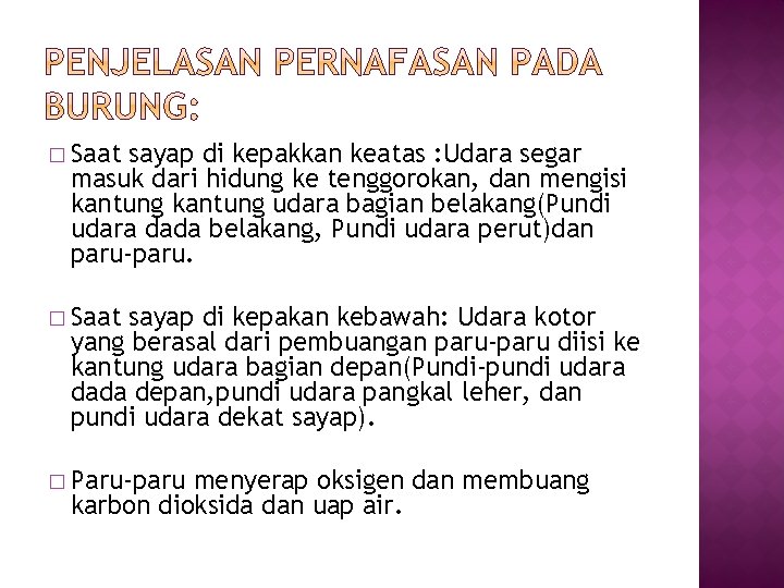 � Saat sayap di kepakkan keatas : Udara segar masuk dari hidung ke tenggorokan,