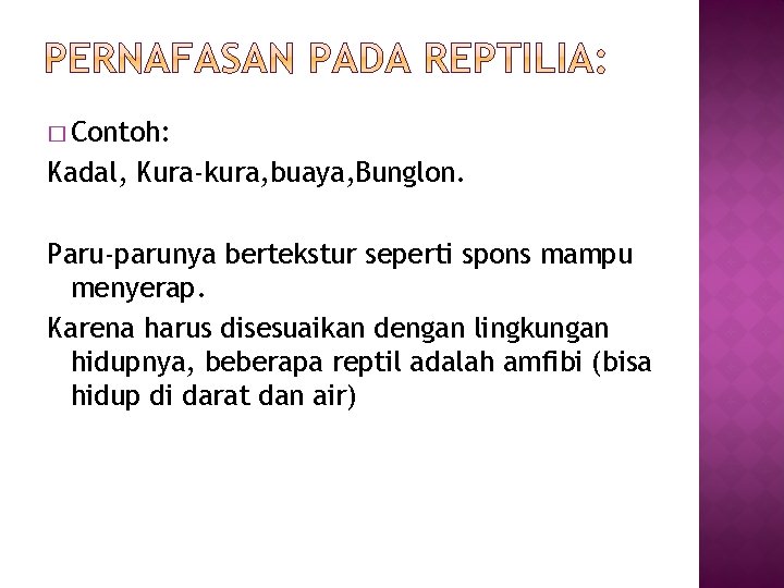 � Contoh: Kadal, Kura-kura, buaya, Bunglon. Paru-parunya bertekstur seperti spons mampu menyerap. Karena harus