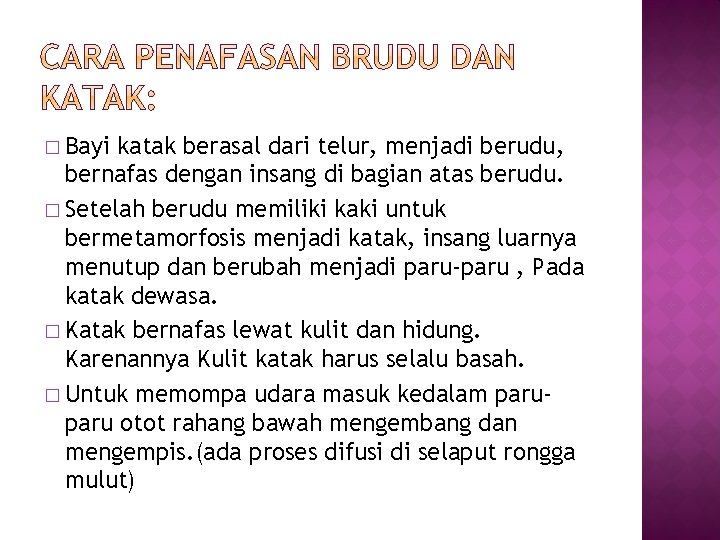 � Bayi katak berasal dari telur, menjadi berudu, bernafas dengan insang di bagian atas