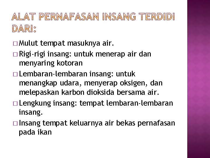 � Mulut tempat masuknya air. � Rigi-rigi insang: untuk menerap air dan menyaring kotoran