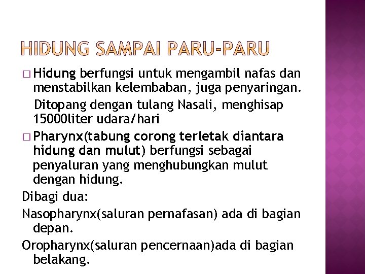 � Hidung berfungsi untuk mengambil nafas dan menstabilkan kelembaban, juga penyaringan. Ditopang dengan tulang