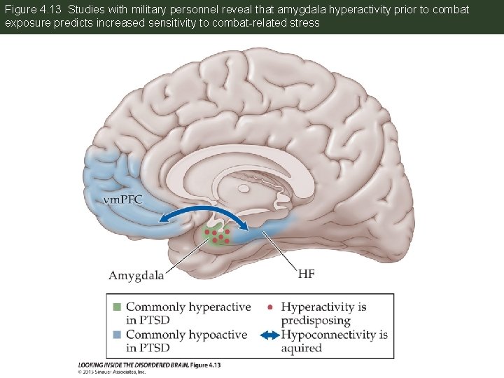 Figure 4. 13 Studies with military personnel reveal that amygdala hyperactivity prior to combat