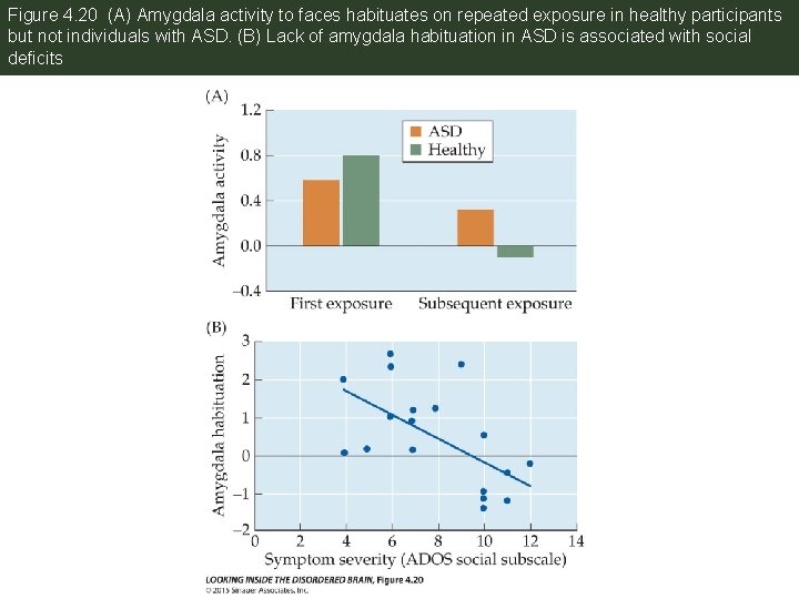 Figure 4. 20 (A) Amygdala activity to faces habituates on repeated exposure in healthy