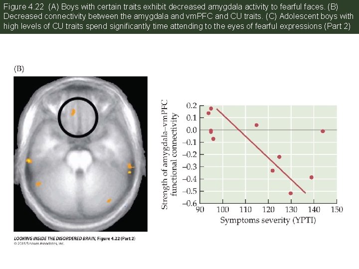 Figure 4. 22 (A) Boys with certain traits exhibit decreased amygdala activity to fearful