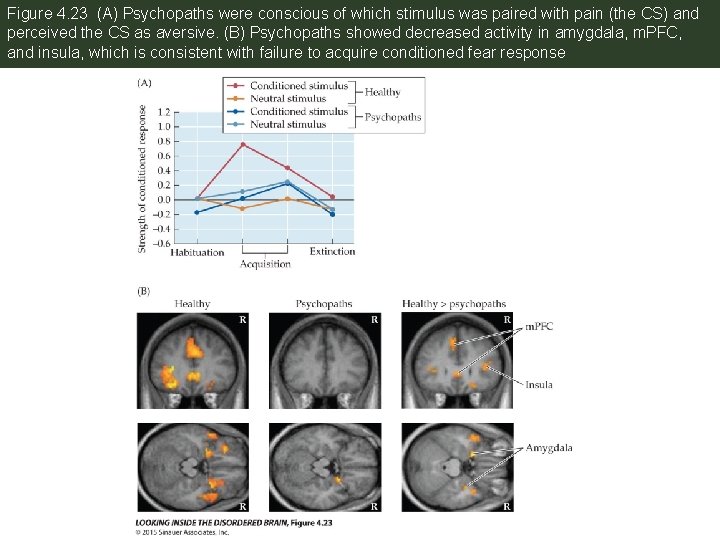 Figure 4. 23 (A) Psychopaths were conscious of which stimulus was paired with pain