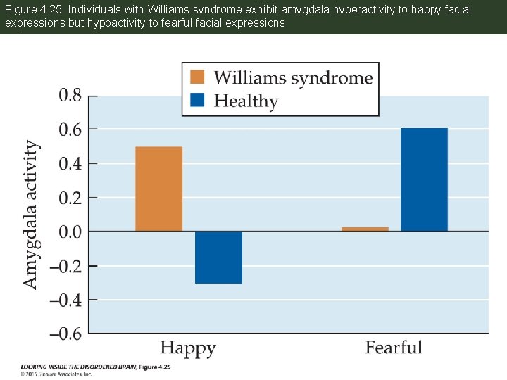 Figure 4. 25 Individuals with Williams syndrome exhibit amygdala hyperactivity to happy facial expressions