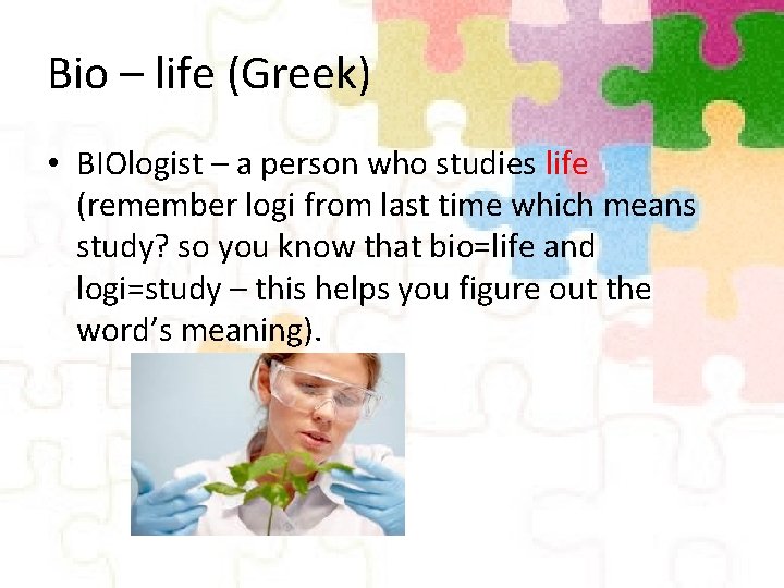 Bio – life (Greek) • BIOlogist – a person who studies life (remember logi