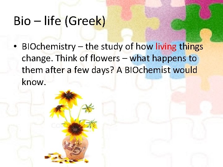Bio – life (Greek) • BIOchemistry – the study of how living things change.