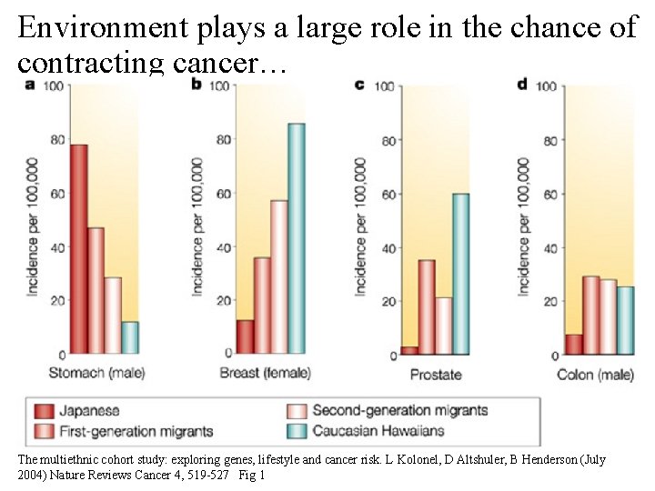 Environment plays a large role in the chance of contracting cancer… The multiethnic cohort