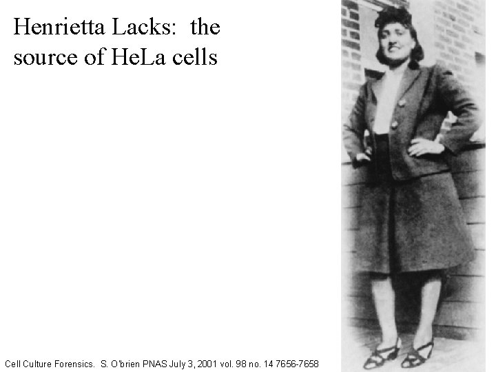 Henrietta Lacks: the source of He. La cells Cell Culture Forensics. S. O’brien PNAS