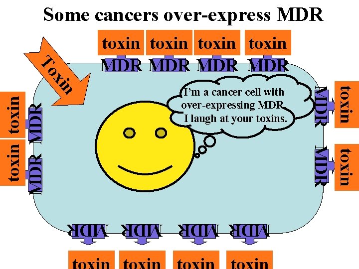 Some cancers over-express MDR MDR MDR toxin MDR I’m a cancer cell with over-expressing
