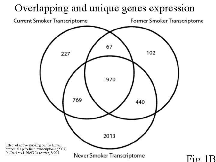 Overlapping and unique genes expression Effect of active smoking on the human bronchial epithelium