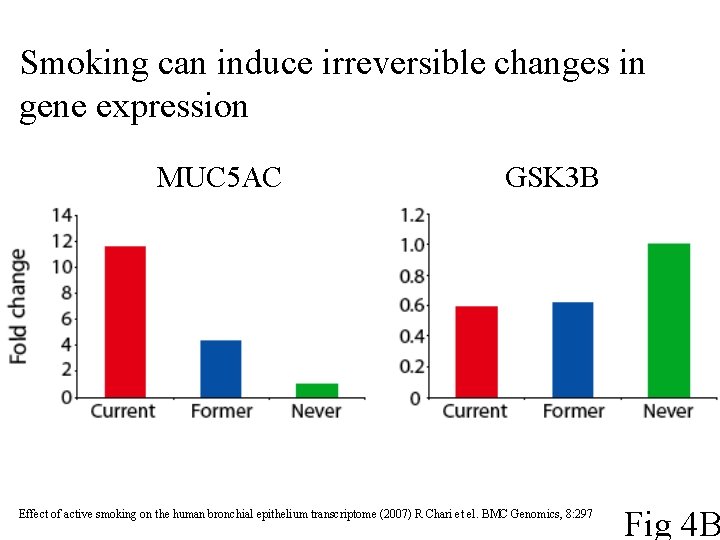 Smoking can induce irreversible changes in gene expression MUC 5 AC GSK 3 B