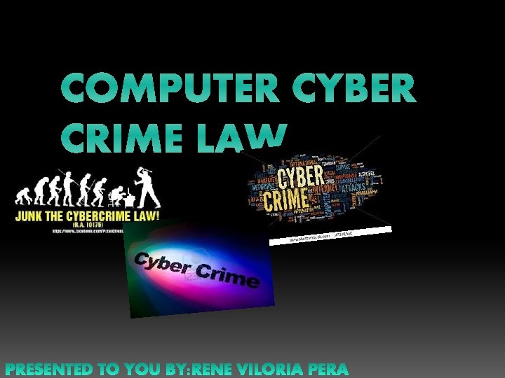 COMPUTER CYBER CRIME LAW 